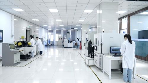 新技术激活新潜力 东北石油大学赋能国家能源安全与网络信息安全软件开发