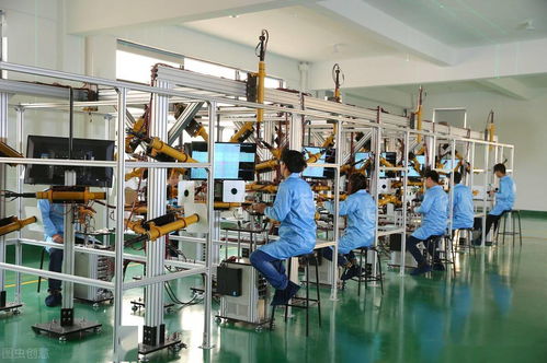 农村小伙月薪7000元在深圳的抉择 坚持信息安全开发还是返乡养猪